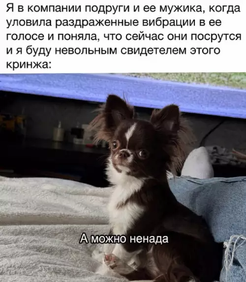 Смешная картинка №822323