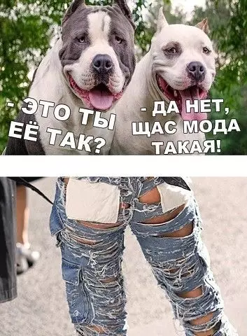 Смешная картинка №370570 .