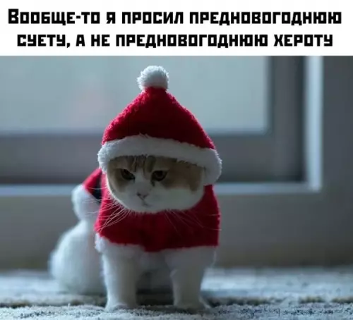 Смешная картинка №430694