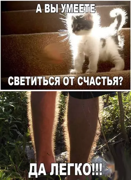 Смешная картинка №173892