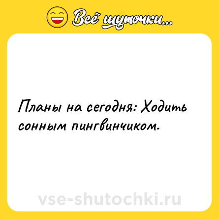 Шутка: Планы на сегодня: Ходить сонным пингвинчиком.