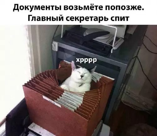 Смешная картинка №710576