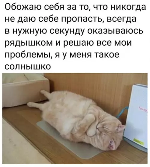 Смешная картинка №518061 Минутка самомотивации