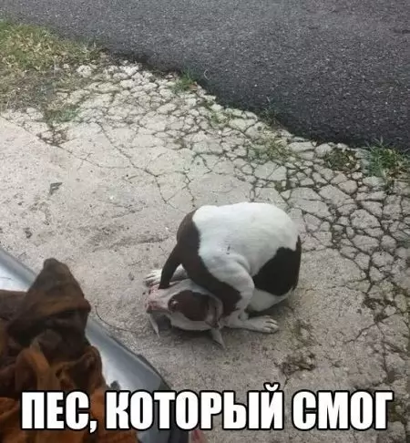 Смешная картинка №308389