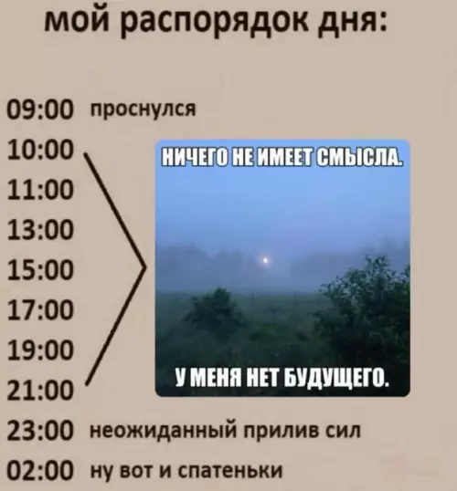 Мой идеальный режим дня 🤡 - мой распорядок дня: 09:00 проснулся 10:00 11:00 13:00 15:00 17:00