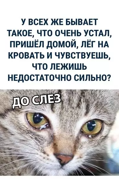Смешная картинка №312043 Бывает?