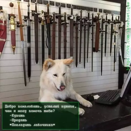Смешная картинка №391054