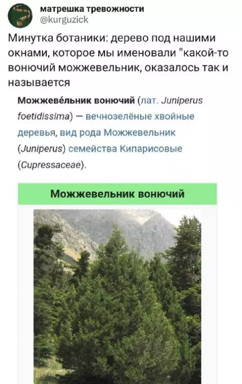 Смешная картинка №681643