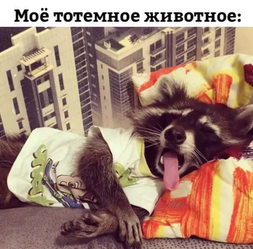 Смешная картинка №370092