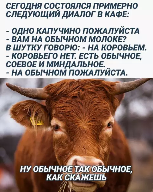 Смешная картинка №668044