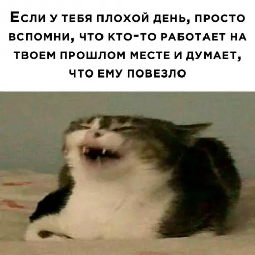 Смешная картинка №705899