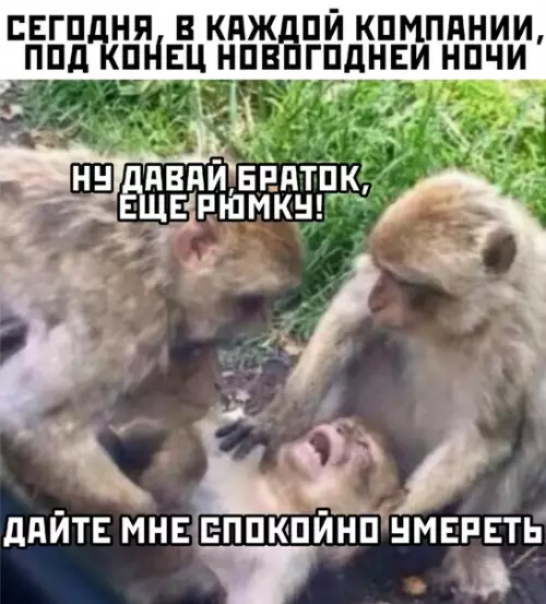 Смешная картинка №435297