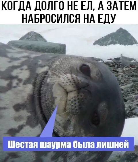 Смешная картинка №174446