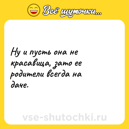 Шутка: Ну и пусть она не красавица, зато ее родители всегда на даче.