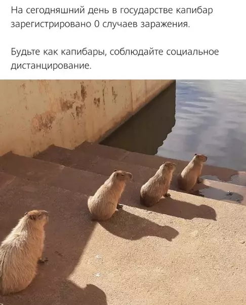 Смешная картинка №510384