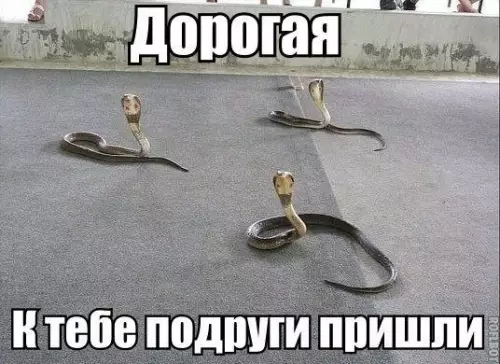 Смешная картинка №421522