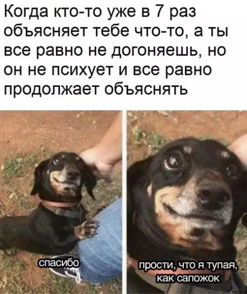 Смешная картинка №465294 Ox как жизненно-то