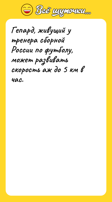 Гепард, живущий у тренера сборной России по футболу, может развивать