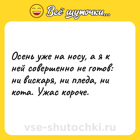 Шутка: Осень уже на носу, а я к ней совершенно не готов: ни вискаря, ни пледа, ни кота. Ужас короче.