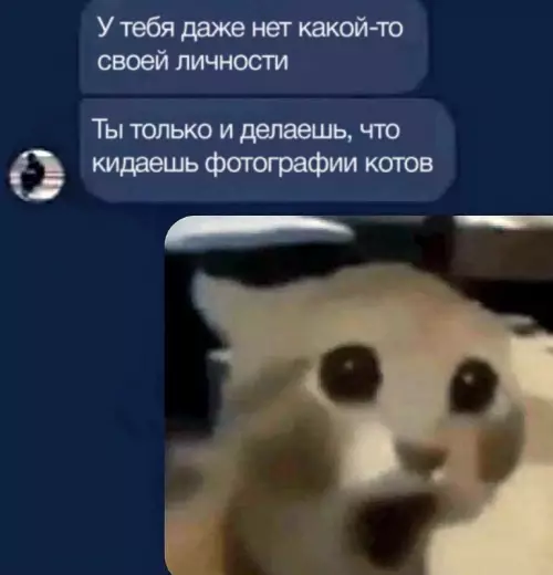 Смешная картинка №672491