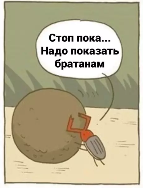 Смешная картинка №565308 Да они просто завидуют