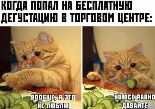 Смешная картинка №521930