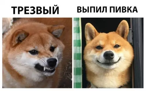 Смешная картинка №303983