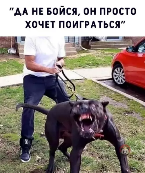 Смешная картинка №562467 Классика ?