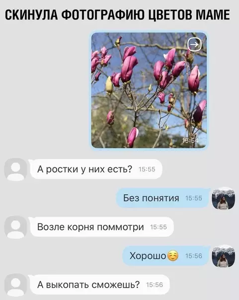 Смешная картинка №347930 Всё в дом!