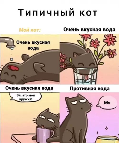 Смешная картинка №577301 Коты