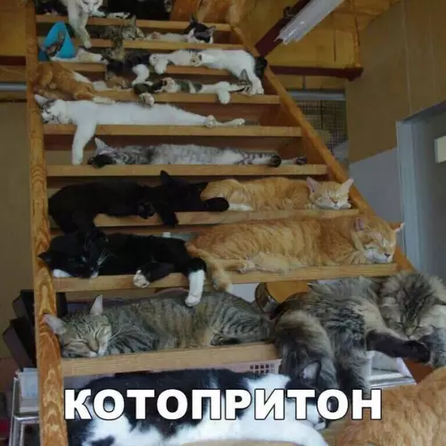 Смешная картинка №217099