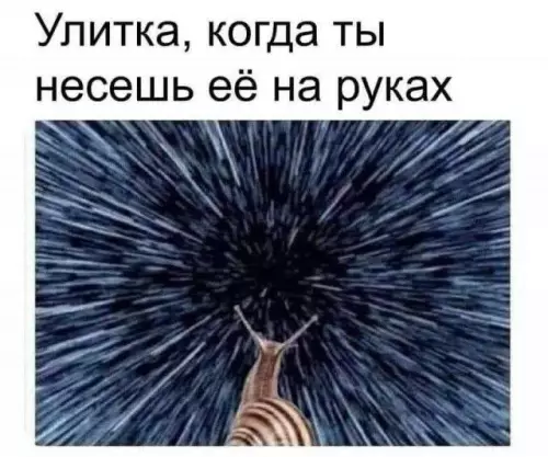 Смешная картинка №739371