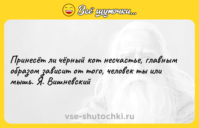 Цитата: Принесёт ли чёрный кот несчастье, главным образом зависит от того, человек ты или мышь. Я. Вишневский
