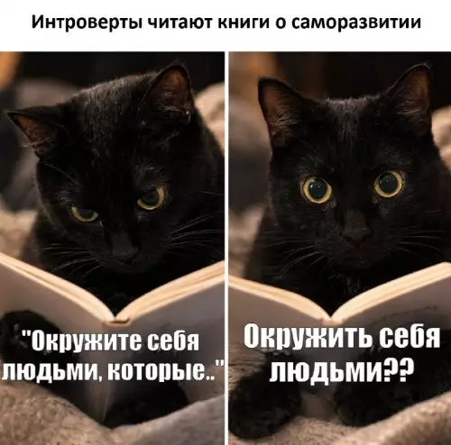 Юмор о книгах для интровертов