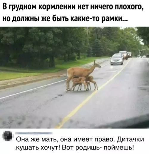 Смешная картинка №440818 Вот родишь поймешь