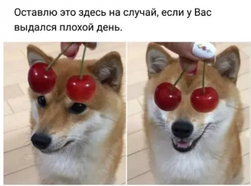 Смешная картинка №216370