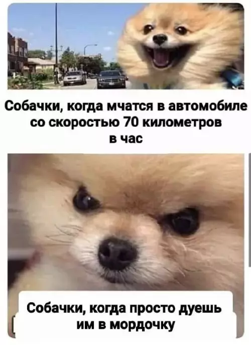 Смешная картинка №682237