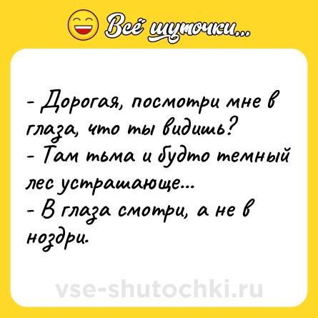 Шутка: - Дорогая, посмотри мне в глаза, что ты видишь?<br>- Там тьма и будто темный лес устрашающе...<br>- В глаза смотри, а не в ноздри.