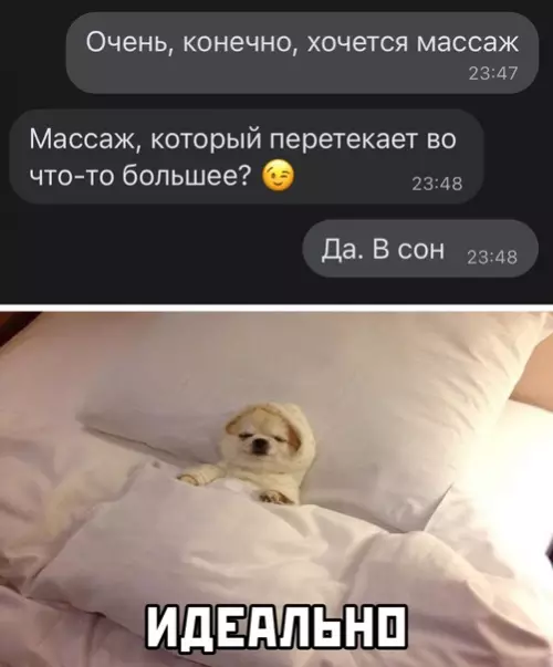 Смешная картинка №565749