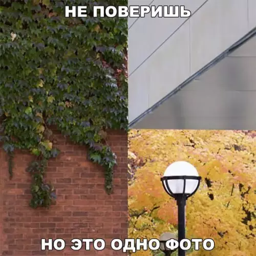 Смешная картинка №208486