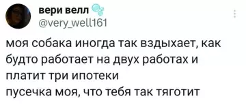 Смешная картинка №804608