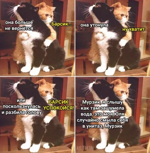 Смешная картинка №562875 Ты: *не выходишь из ванной больше 10 секунд* 
 
Коты за дверью: