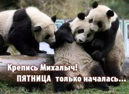 Смешная картинка №403281 Пятница
