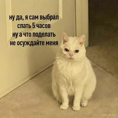 Смешная картинка №598229 Дoбpoe yтpeчкo