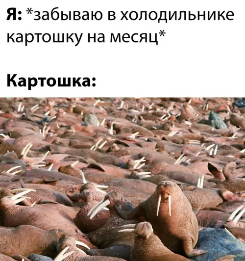 Смешная картинка №655547