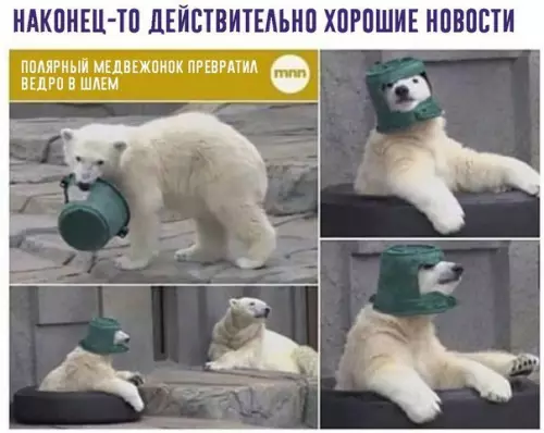 Смешная картинка №217906