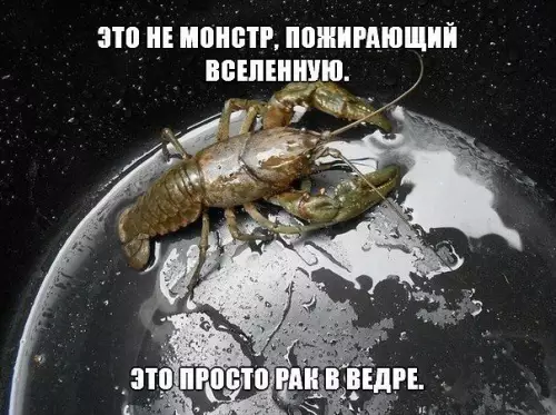 Смешная картинка №379477