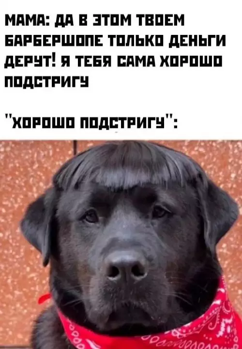 Смешная картинка №721569