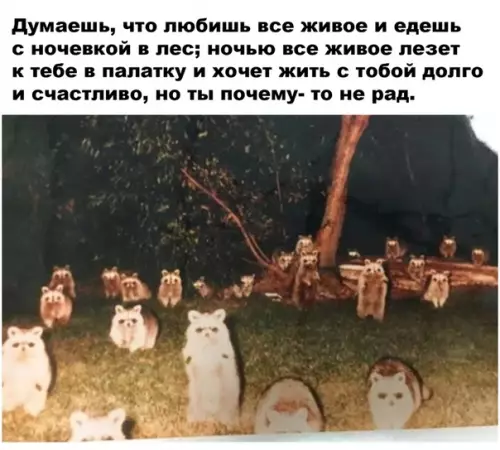 Смешная картинка №501433 Вот такой парадокс