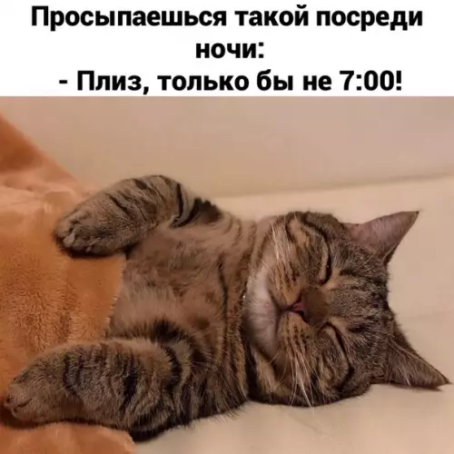 Смешная картинка №523144